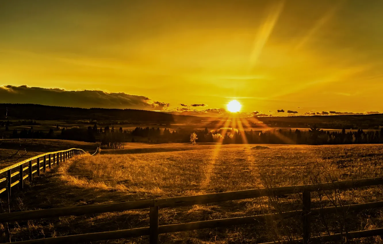 Photo wallpaper field, sunset, the fence