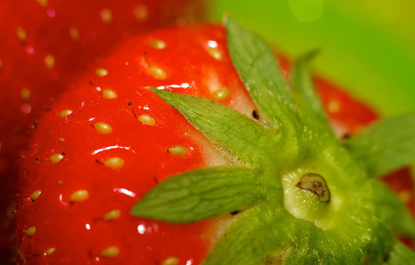 Photo wallpaper summer, macro, berries, strawberry