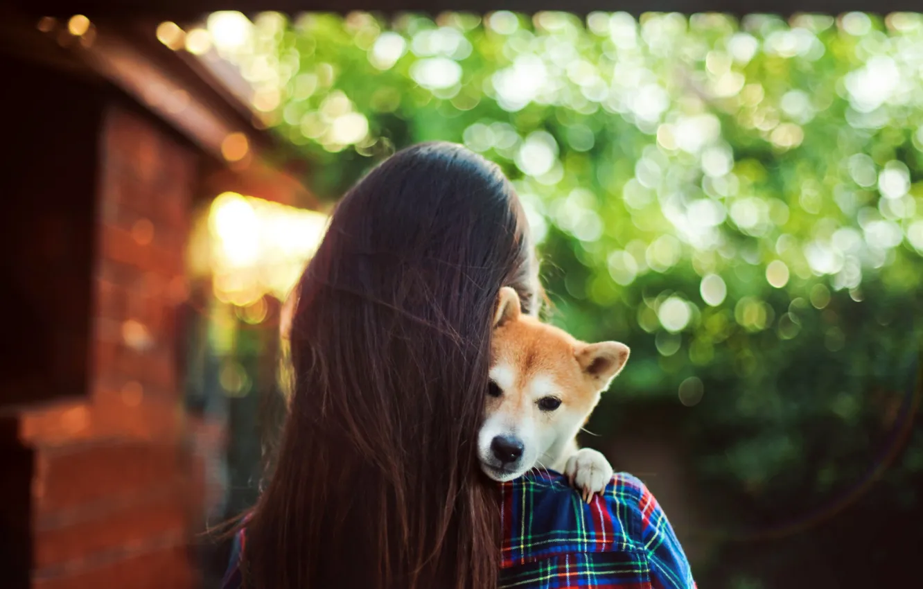 Photo wallpaper girl, Dog, puppy, long hair, photo, hug, animal, brunette
