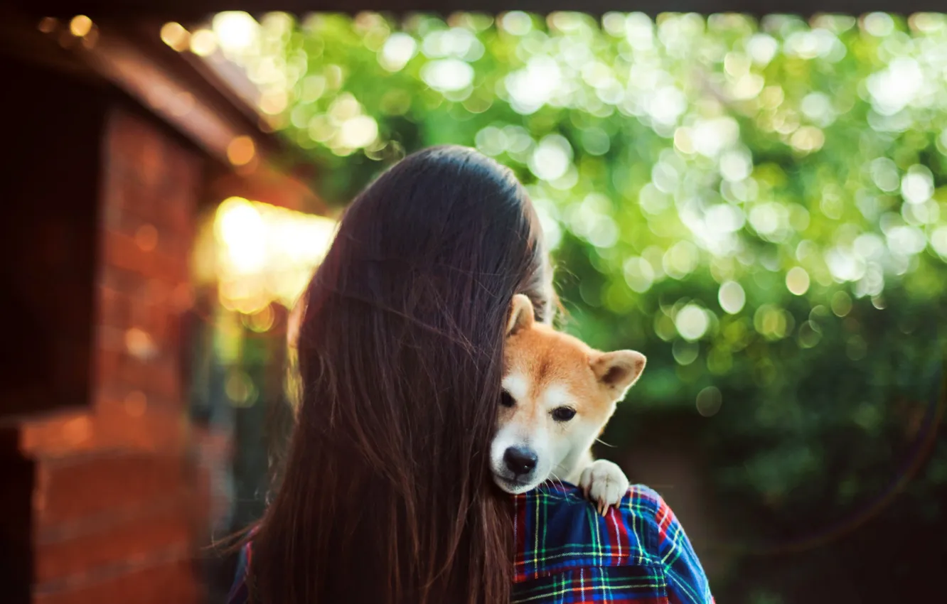 Photo wallpaper girl, puppy, long hair, photo, dog, hug, animal, brunette