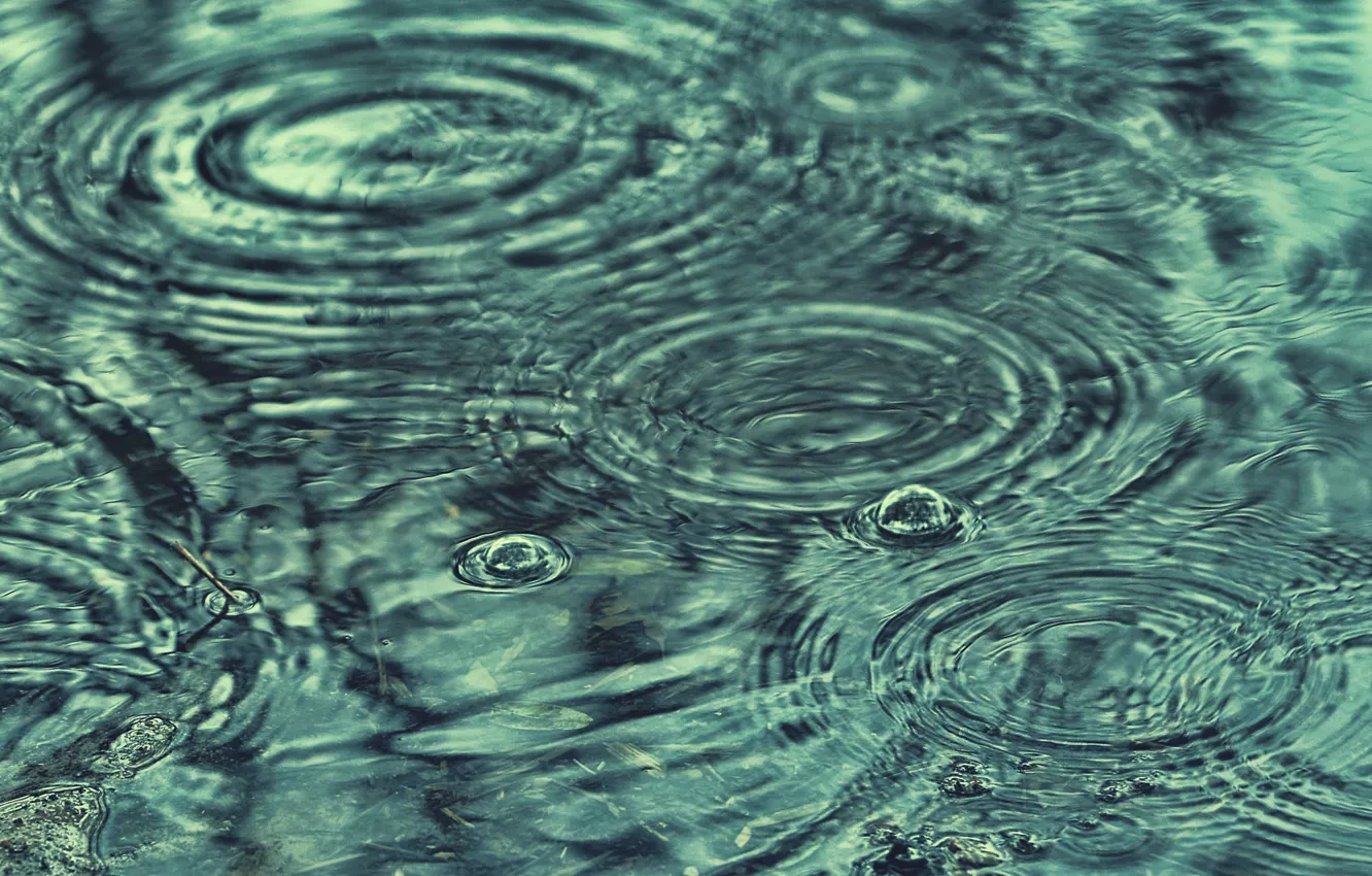 Photo wallpaper water, drops, rain