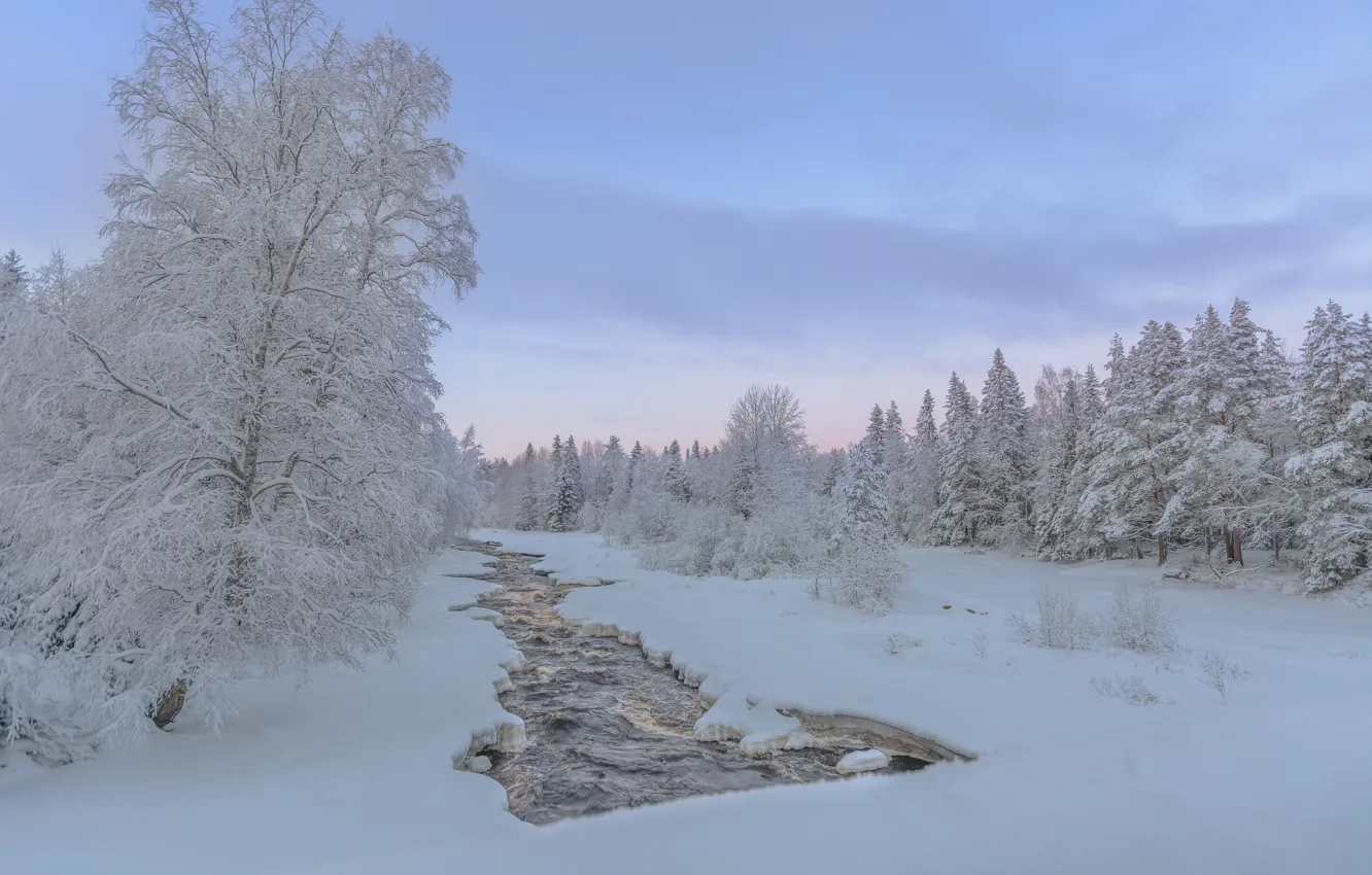 Photo wallpaper winter, forest, snow, trees, river, Finland