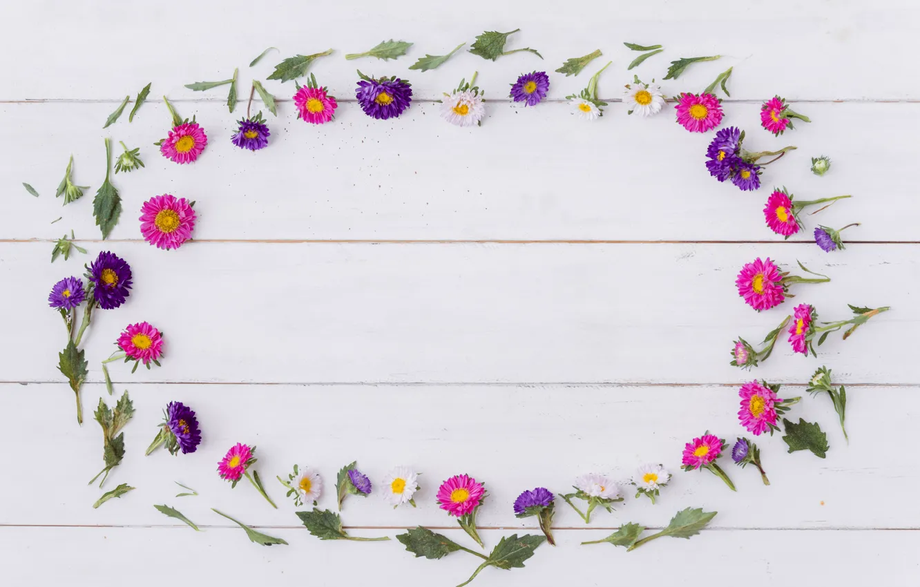 Photo wallpaper flowers, background, white, oval, frame, wood