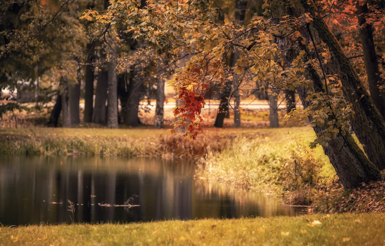 Photo wallpaper autumn, lake, Park