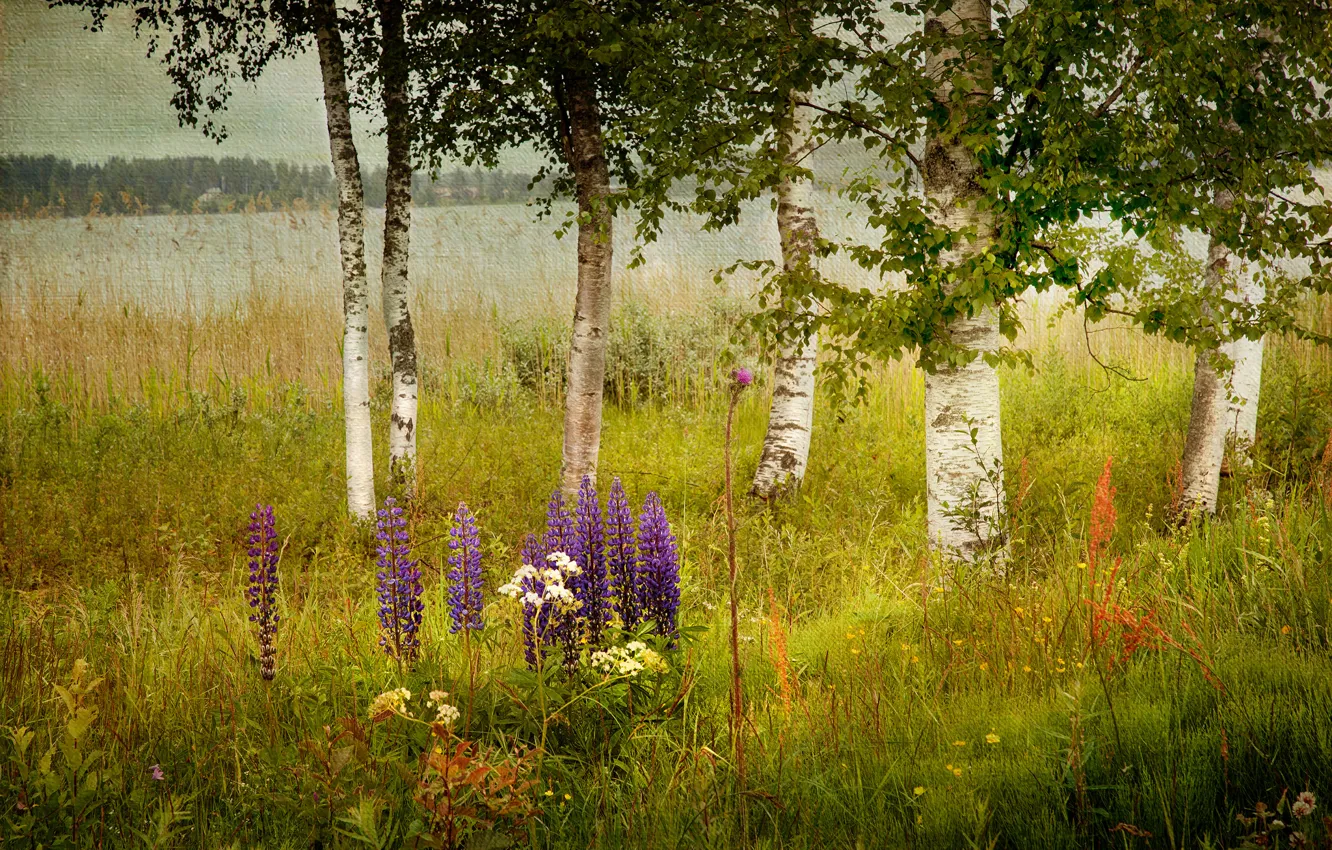 Photo wallpaper grass, trees, flowers, river, texture, canvas