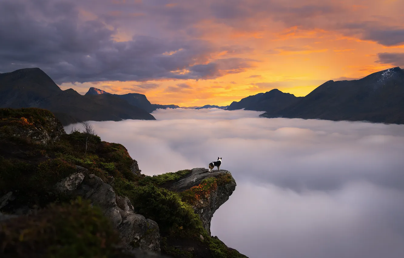 Photo wallpaper the sky, look, sunset, mountains, nature, pose, fog, open