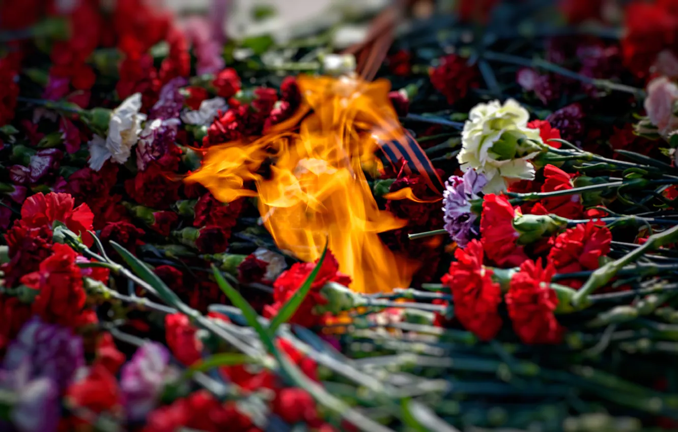 Photo wallpaper memory, fire, flame, ribbon, clove, The 9th of may, laying