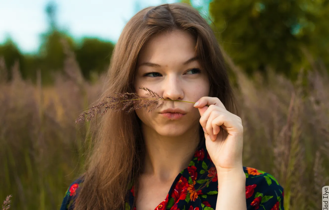 Photo wallpaper girl, face, hand, photographer, girl, photography, photographer, a blade of grass