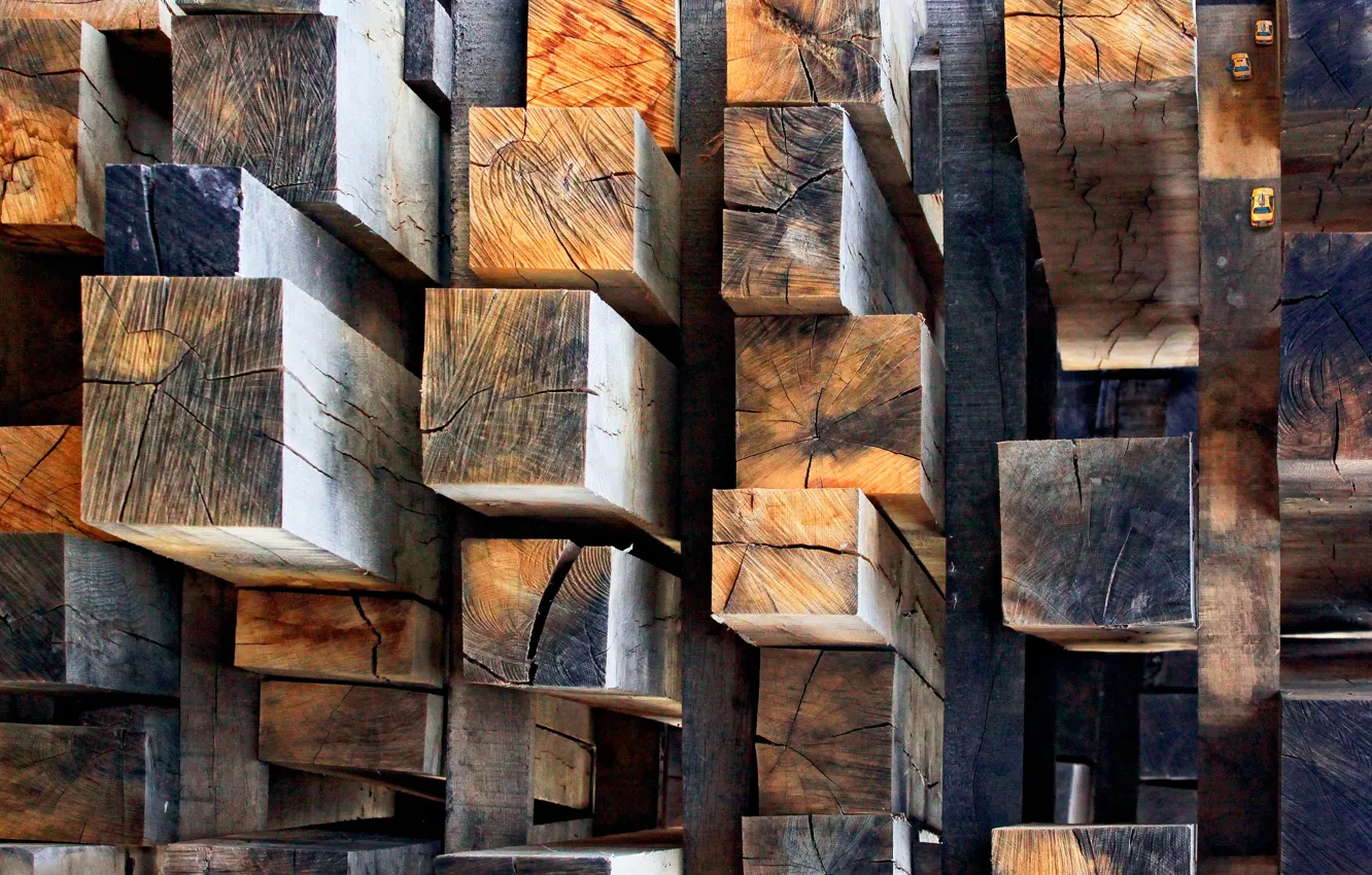 Photo wallpaper trees, timber, spil