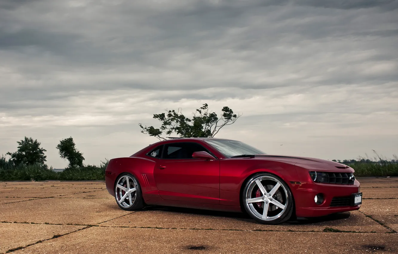 Photo wallpaper trees, red, red, Chevrolet, side view, chevrolet, the bushes, camaro ss