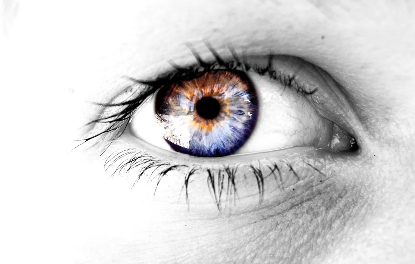 Photo wallpaper eyes, grey, color