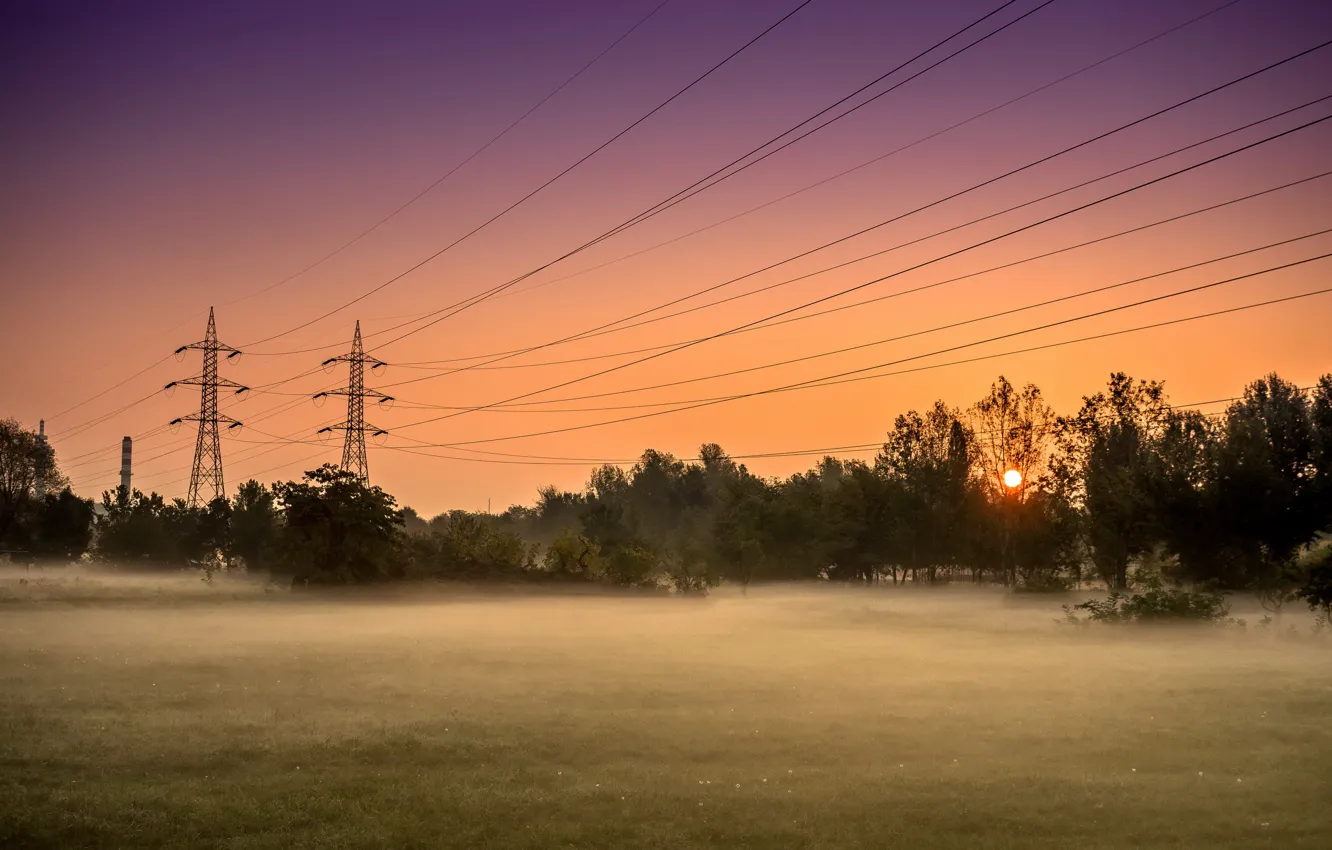 Photo wallpaper field, sunset, fog, power lines