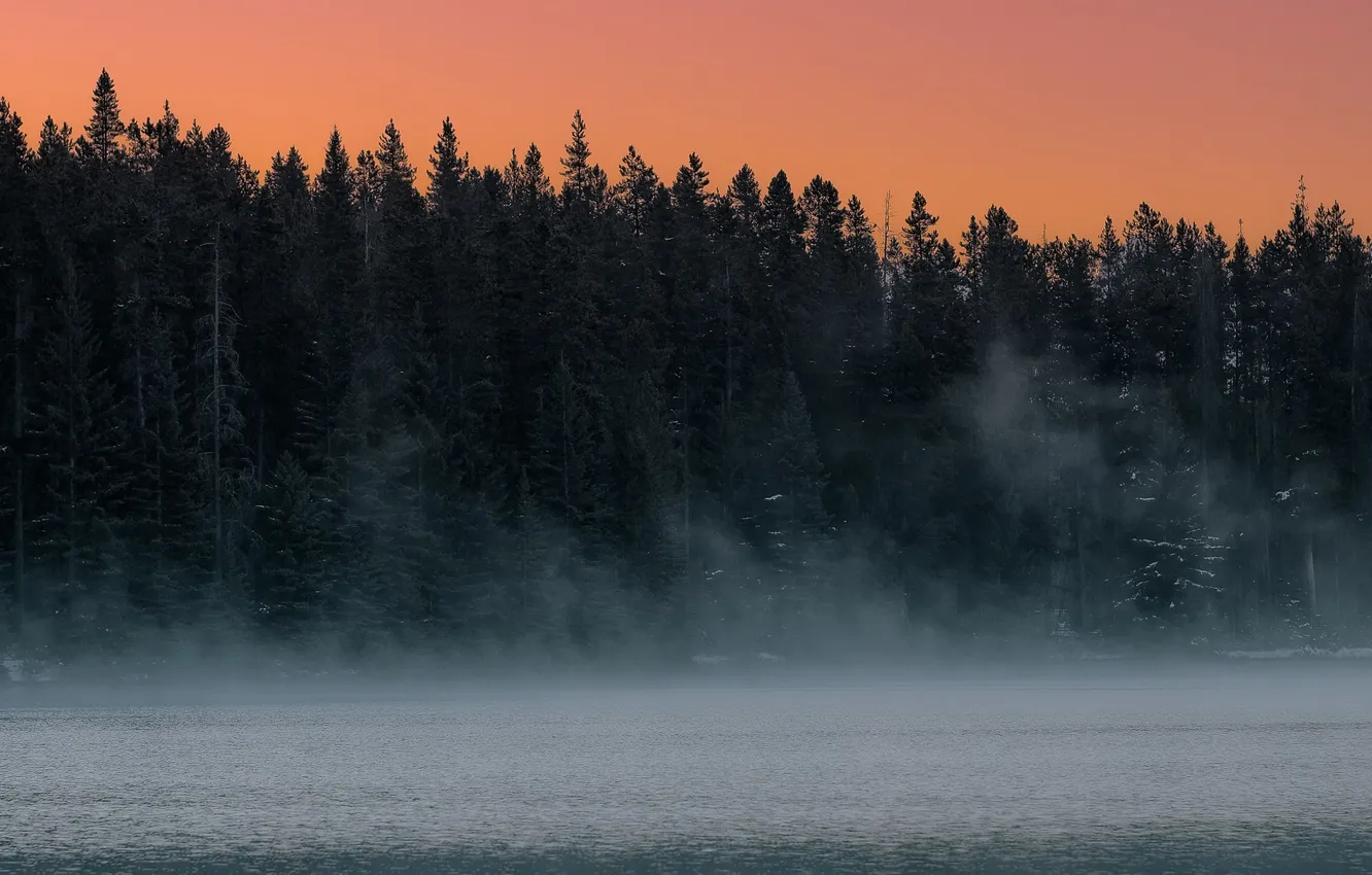 Photo wallpaper forest, the sky, landscape, sunset, mountains, nature, fog, lake