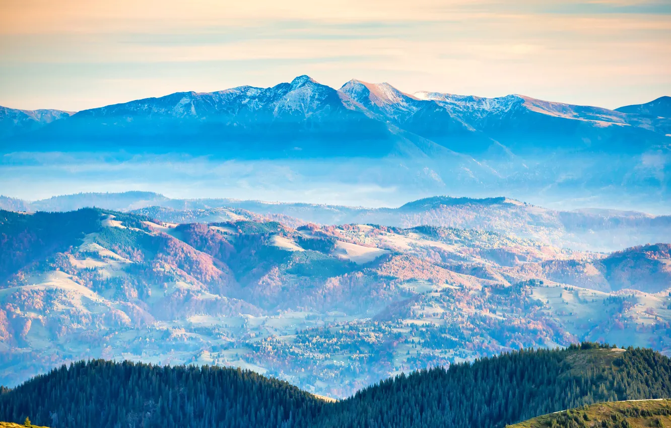 Photo wallpaper field, forest, mountains, beauty, panorama
