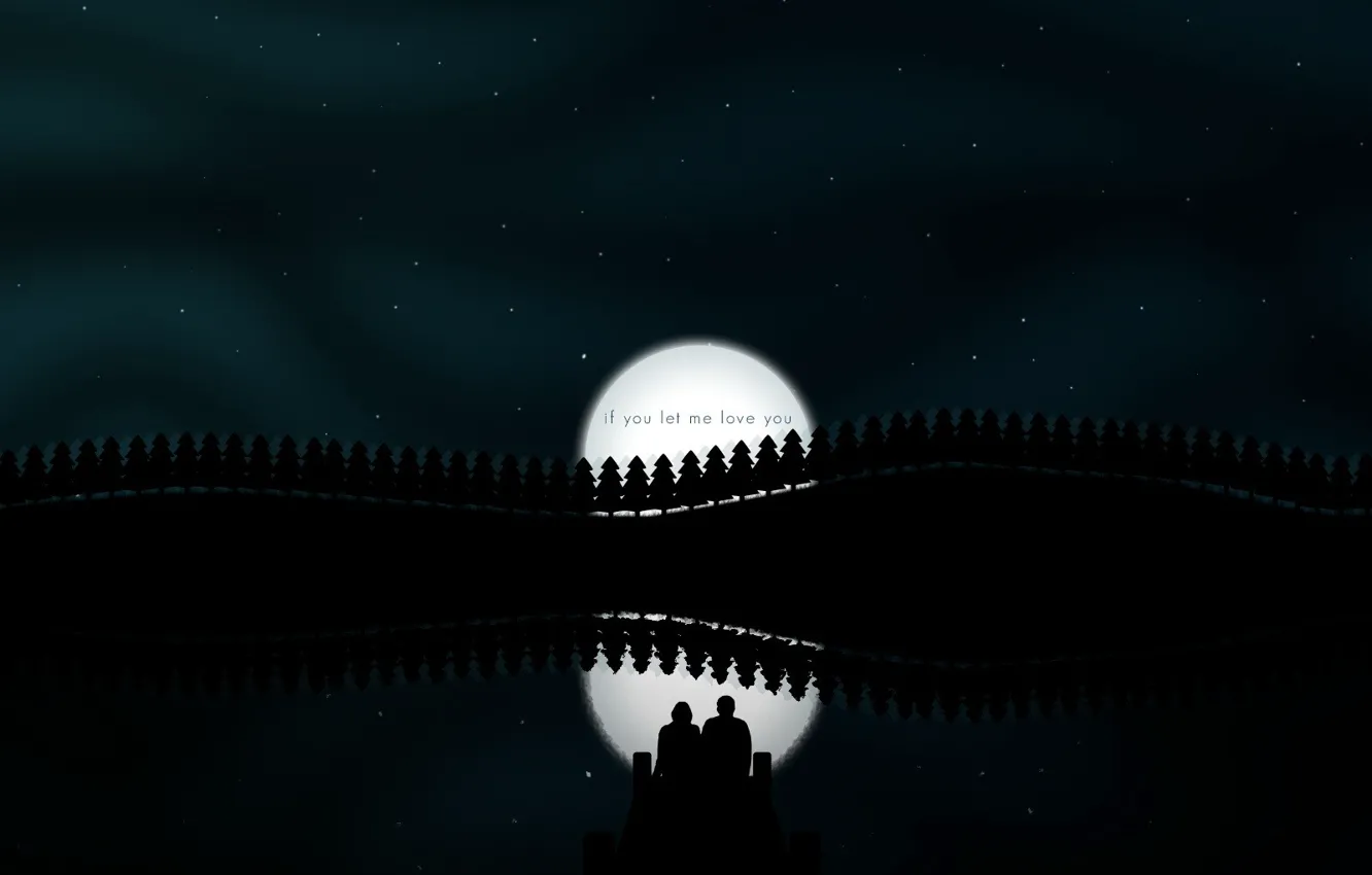 Photo wallpaper night, reflection, the moon, vector, pair