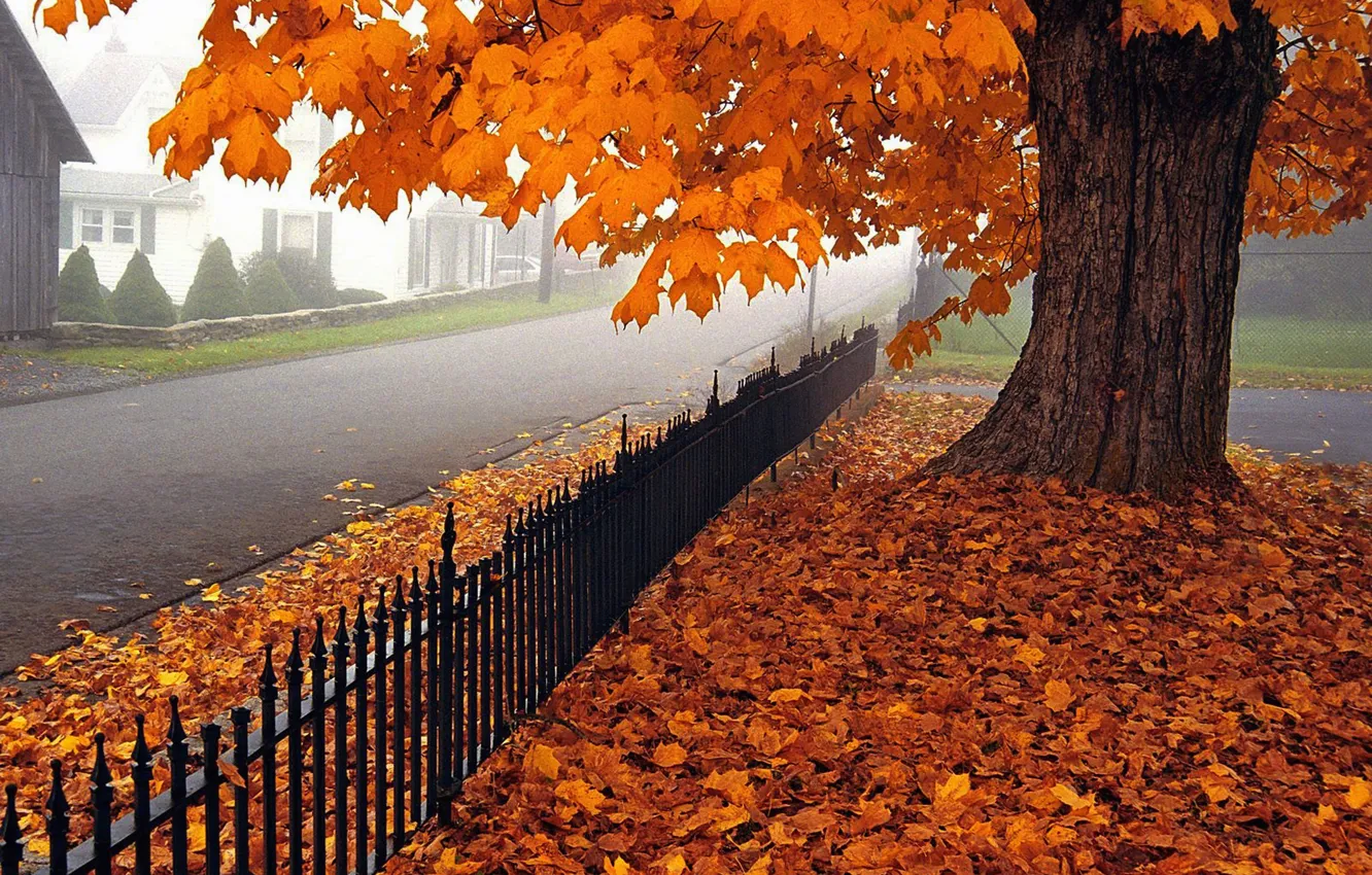 Photo wallpaper autumn, leaves, trees, Villa, home, Nature, house, architecture