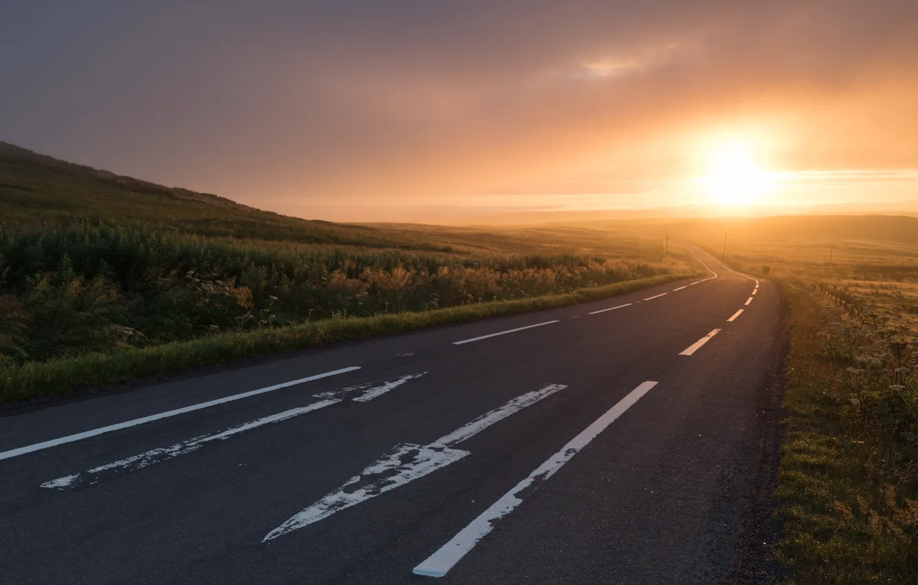Photo wallpaper road, fog, morning