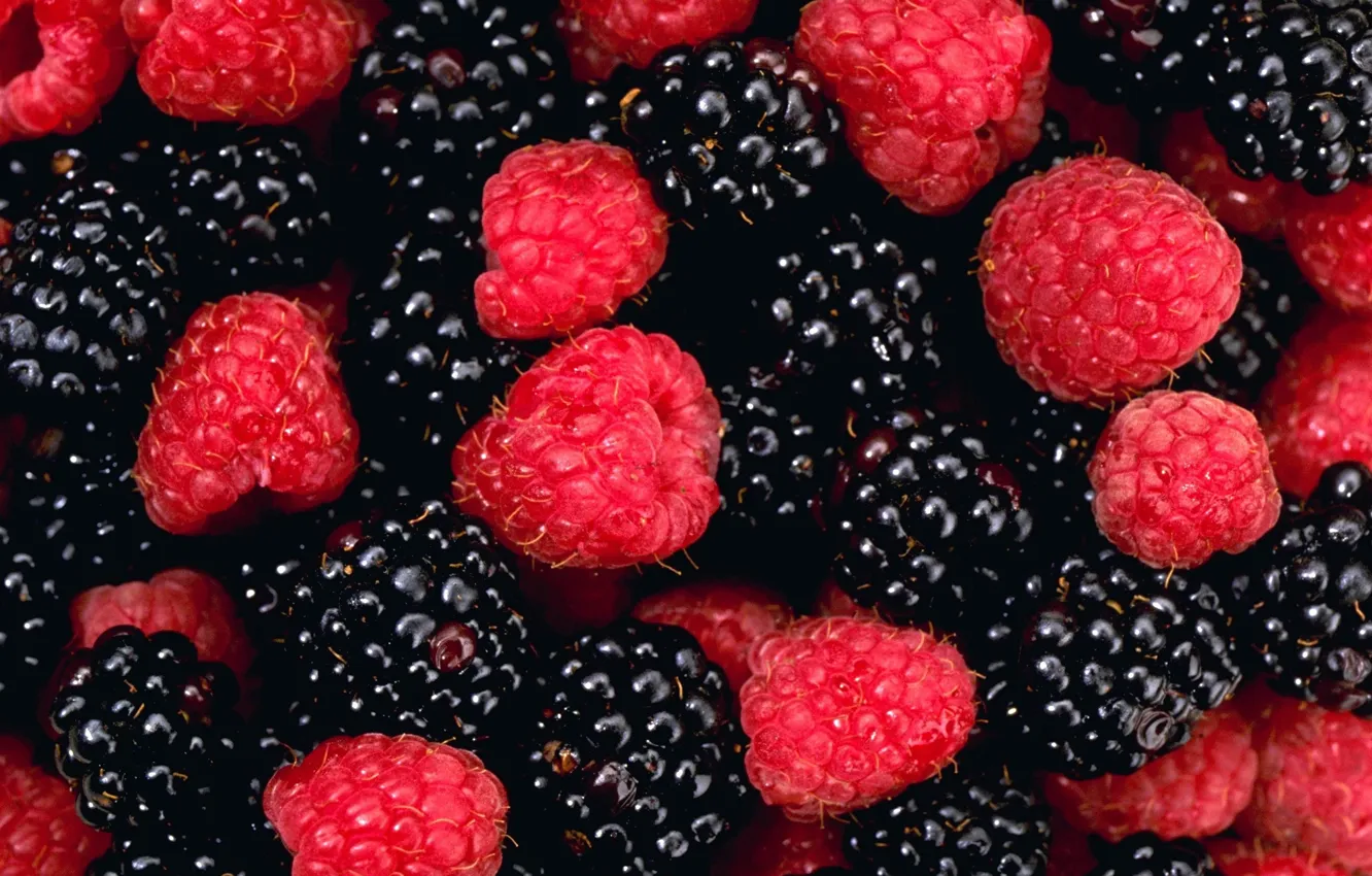 Photo wallpaper berries, raspberry, ajivika