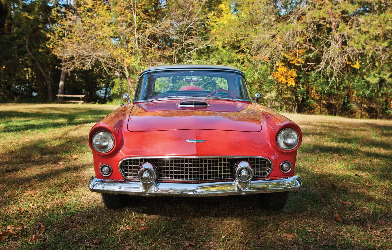 Photo wallpaper Ford, Ford, 1965, retro cars, Thunderbird, Retro Cars, Ford Thunderbird Convertible