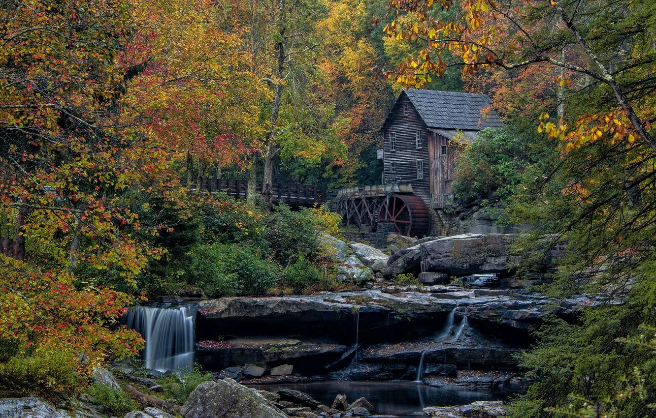 Photo wallpaper autumn, forest, trees, stream, rocks, home, wheel, water mill