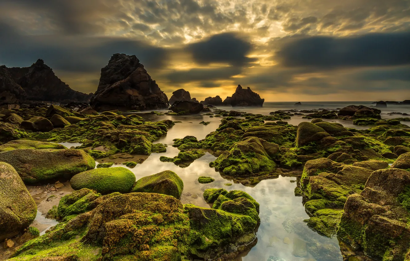 Photo wallpaper sea, the sky, sunset, stones, coast, moss, horizon, Portugal