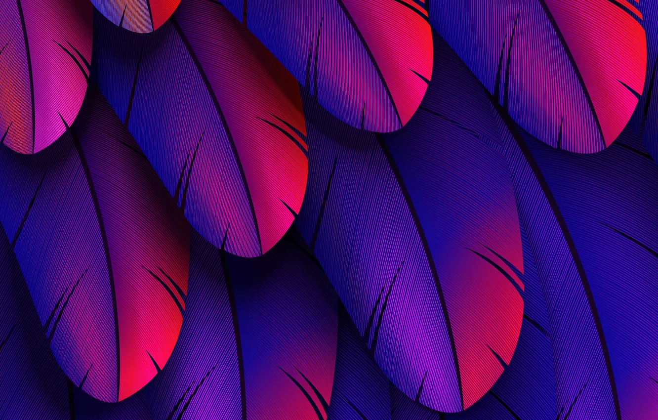 Photo wallpaper colorful, feather, abstract 3D