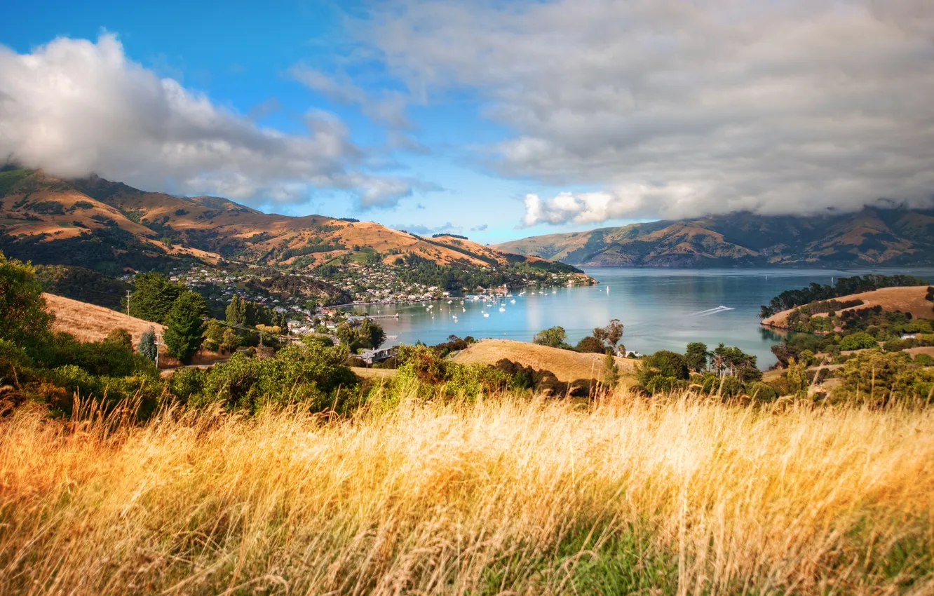 Photo wallpaper New Zealand, New Zealand, Aotearoa, South Island, Akaroa