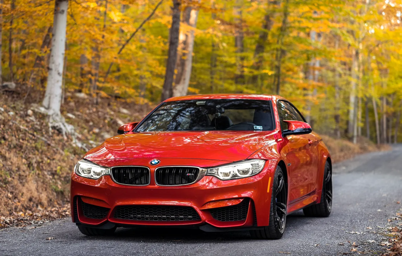 Photo wallpaper BMW, Autumn, Road, RED, Forest, F80