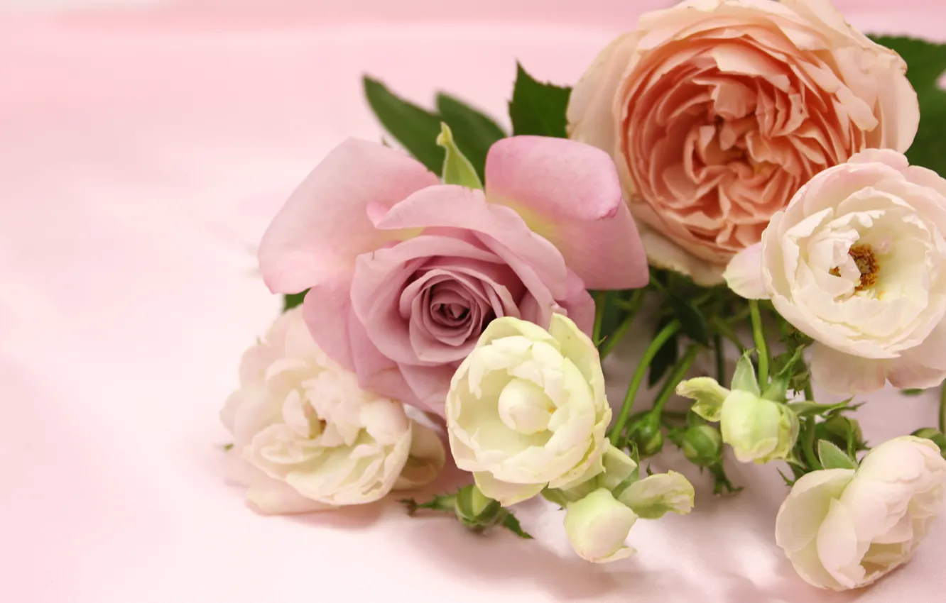 Photo wallpaper flowers, roses, Bouquet
