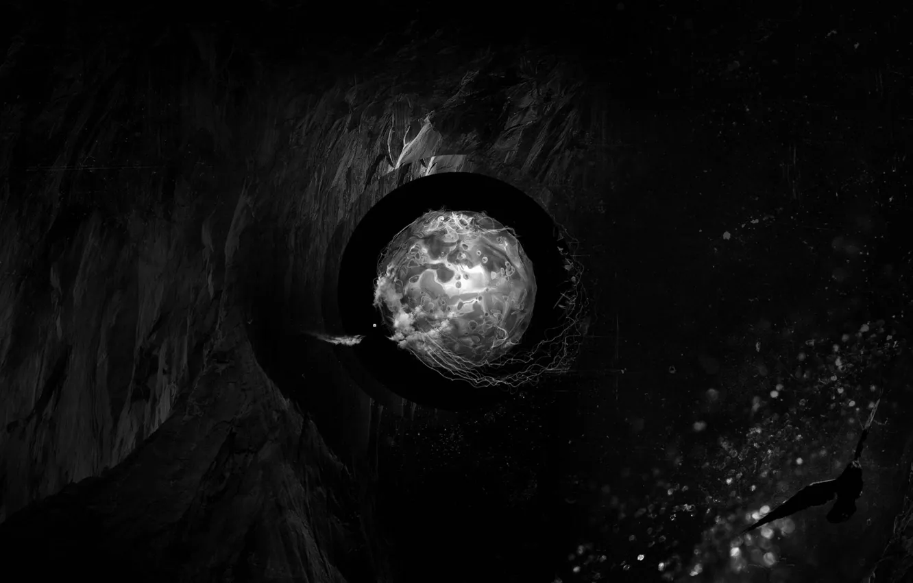 Photo wallpaper bird, ball, Black, cave