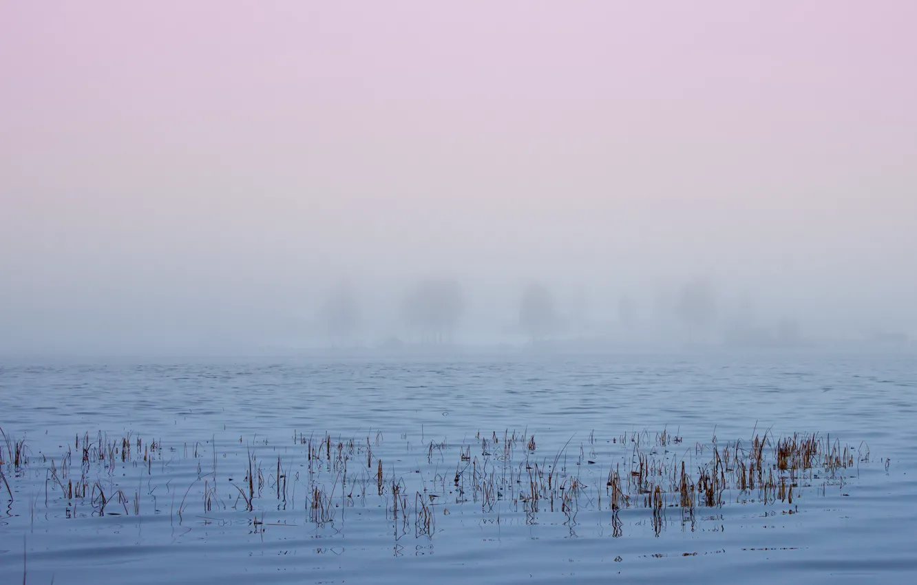 Photo wallpaper lake, fog, sweden, norrbotten, langsel