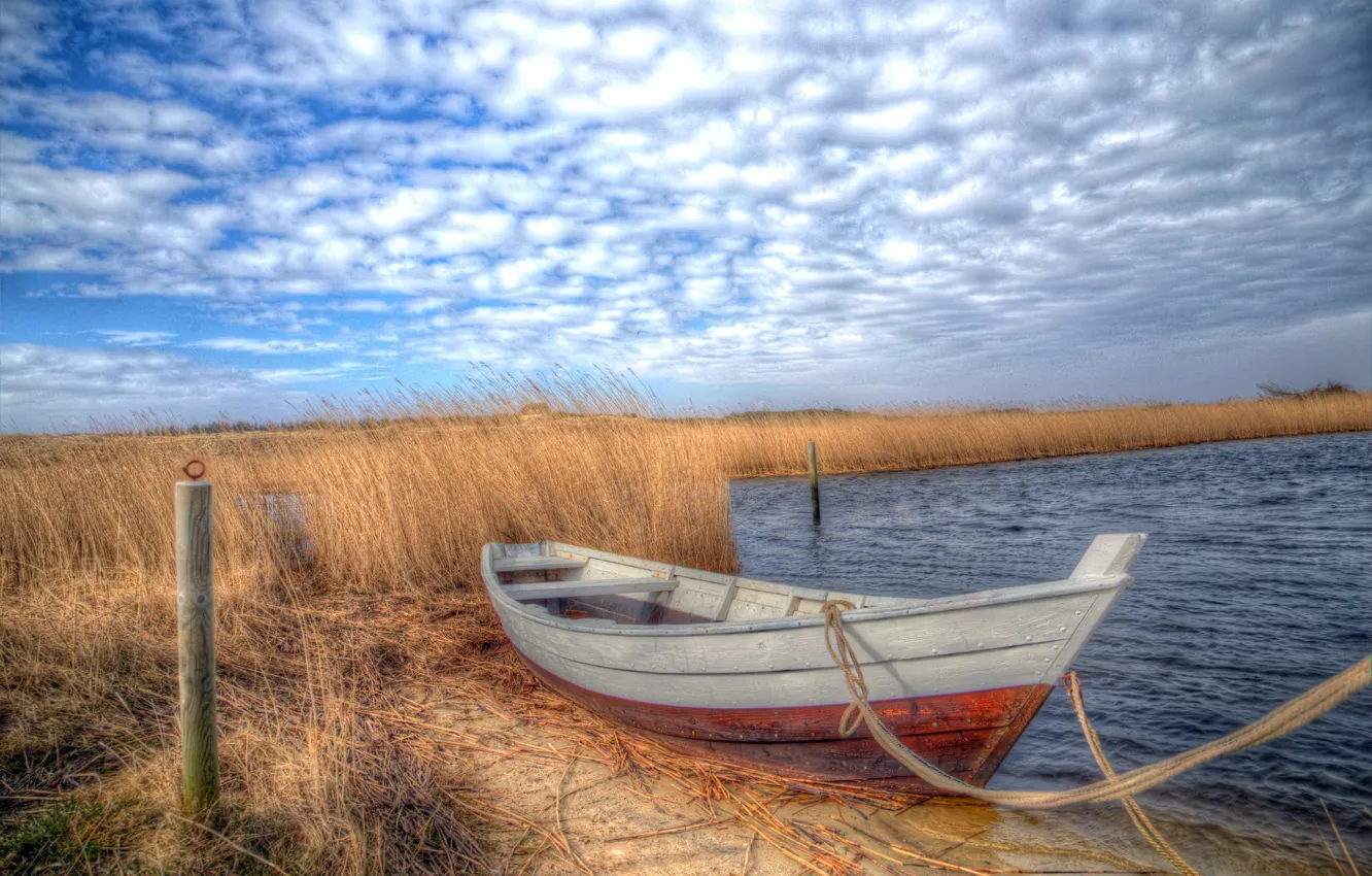 Photo wallpaper lake, boat, reed