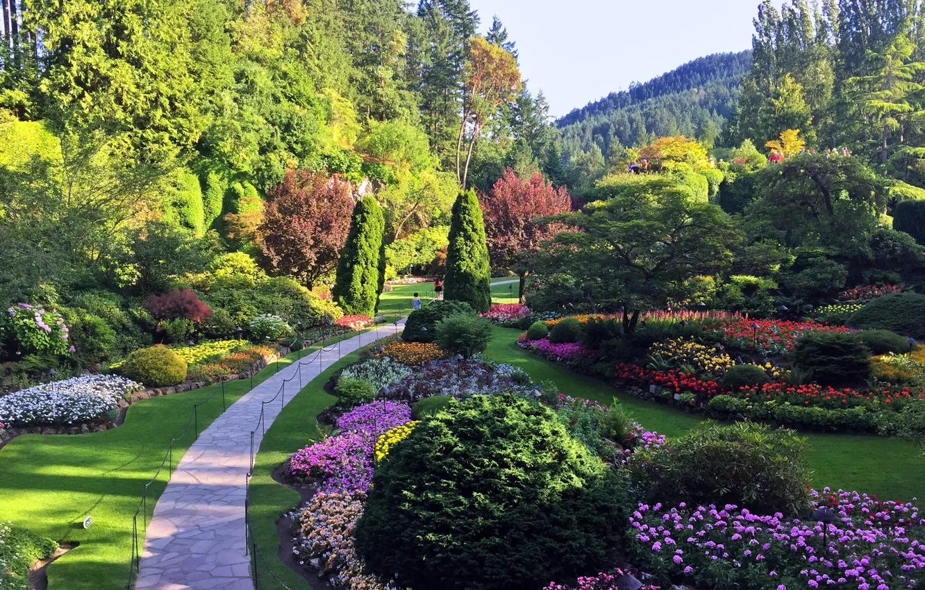 Photo wallpaper trees, flowers, nature, Park, plant, garden