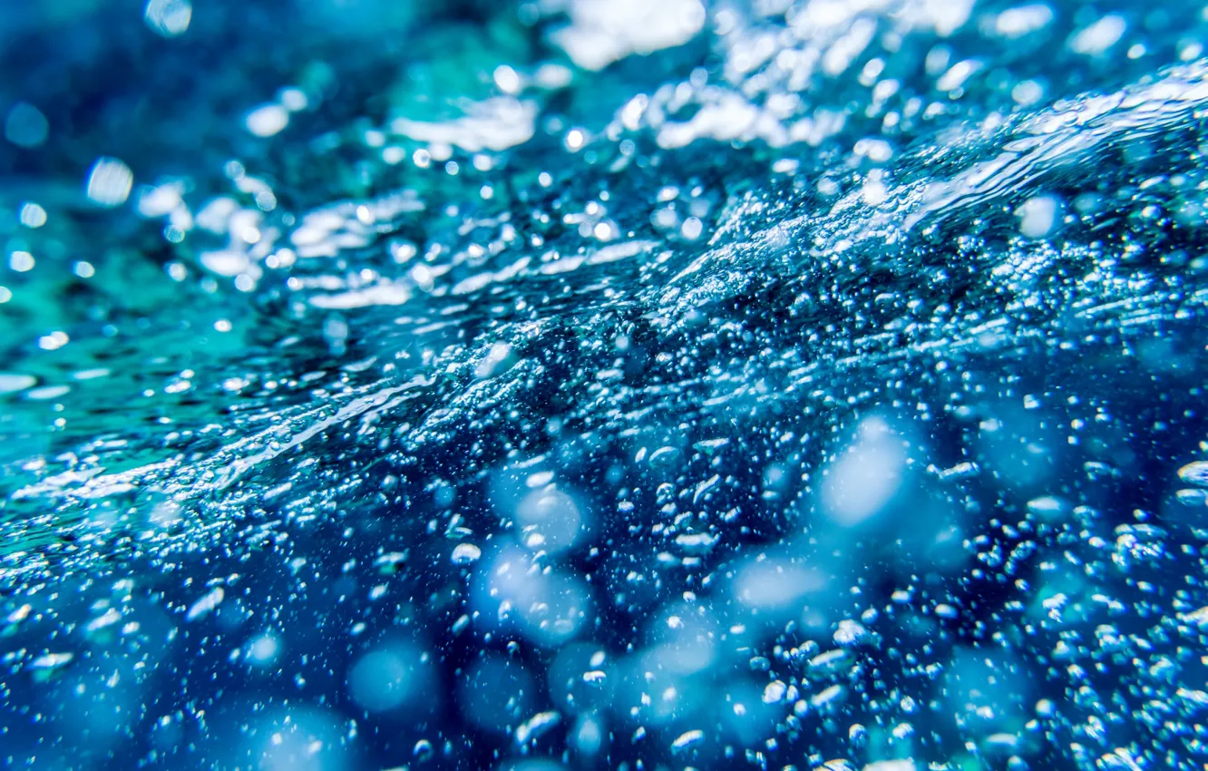 Photo wallpaper water, macro, bubbles