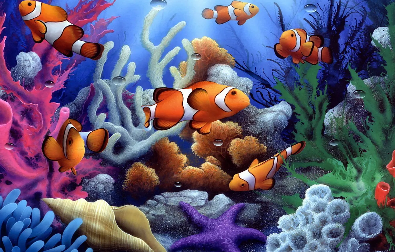 Photo wallpaper fish, shell, corals, starfish, under water