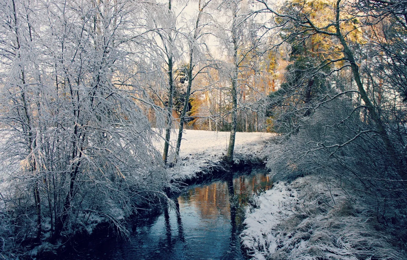 Photo wallpaper winter, snow, trees, river