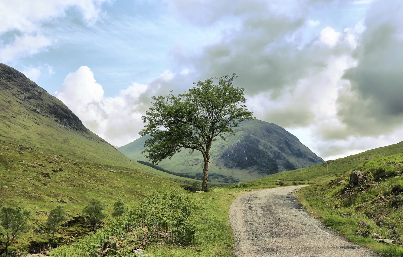 Photo wallpaper road, summer, the sky, grass, clouds, trees, mountains, the way