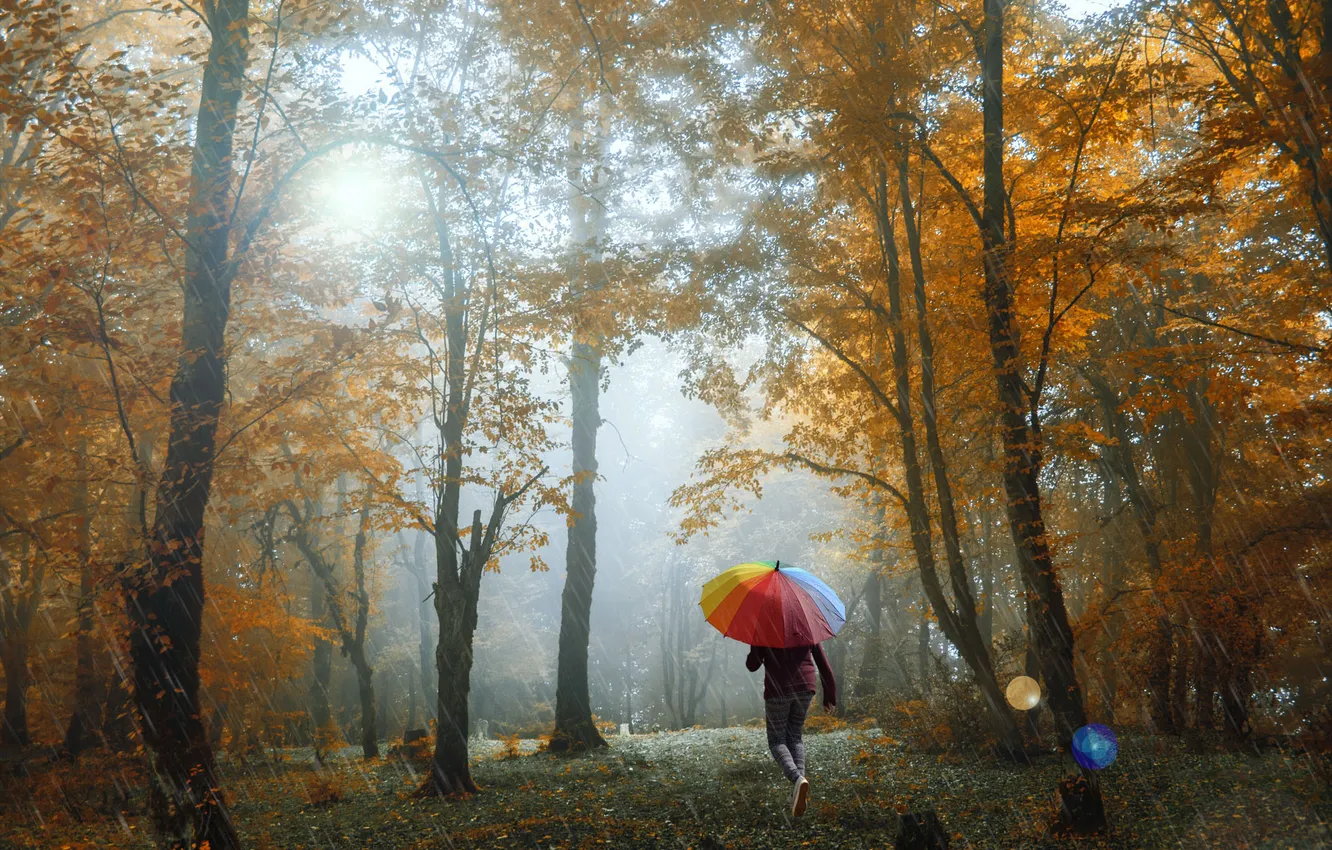 Photo wallpaper Park, fog, walk, umbrella, rain, girl, autumn, forest