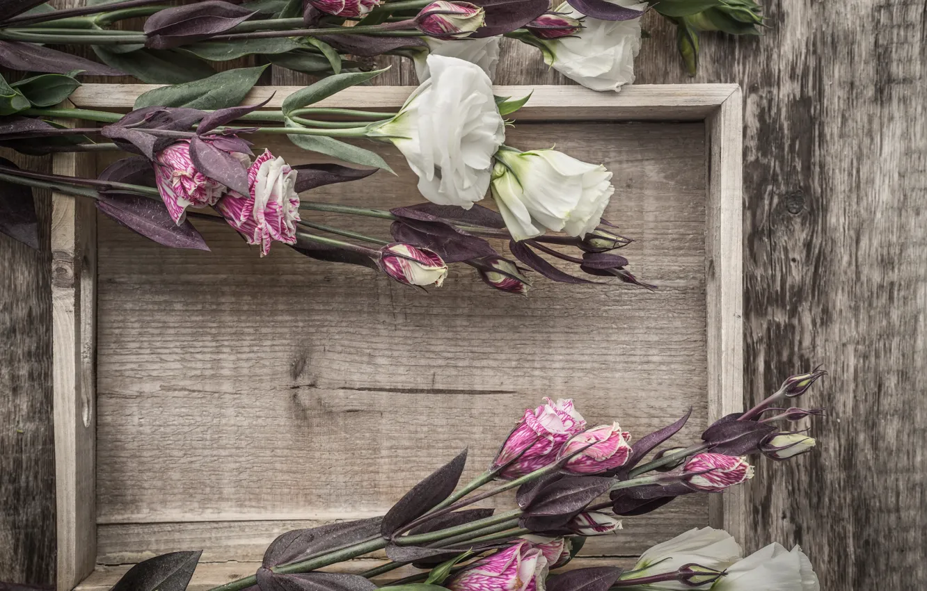 Photo wallpaper flowers, bouquet, eustoma