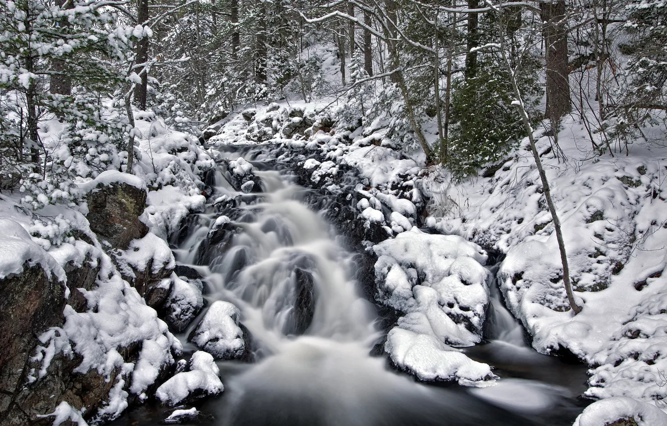 Photo wallpaper winter, forest, nature, river