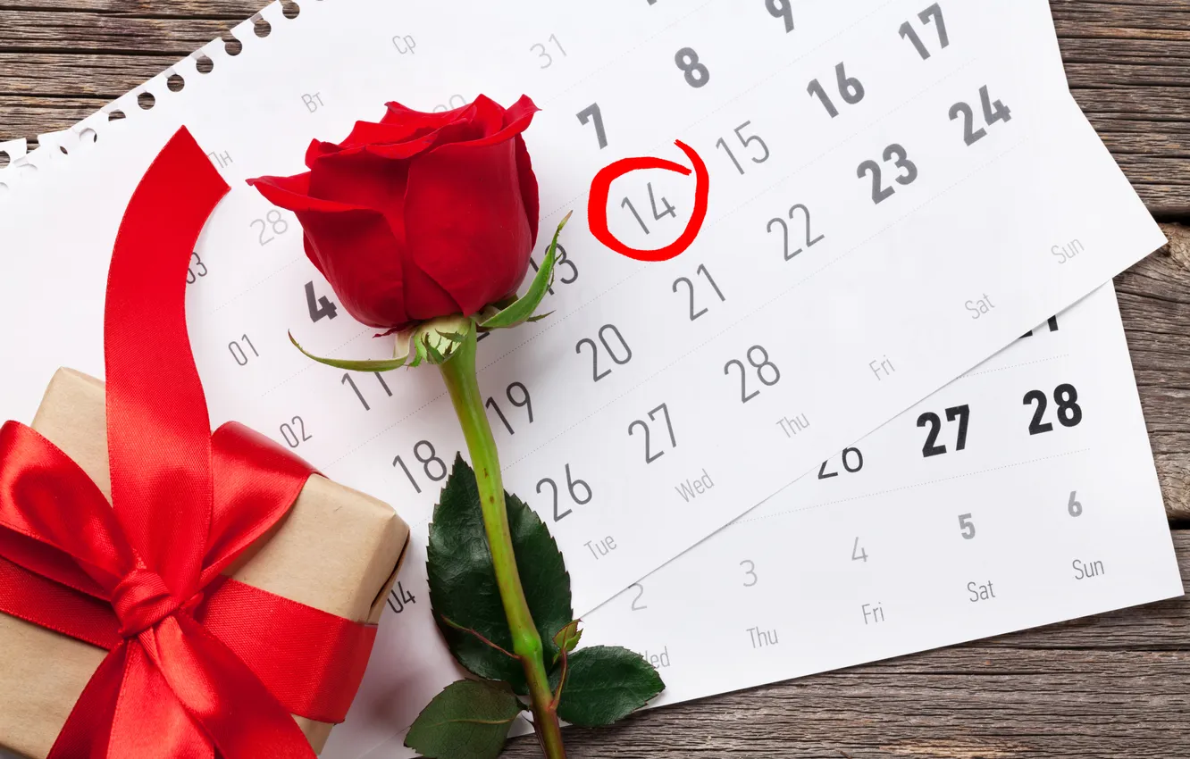 Photo wallpaper love, flowers, gift, romance, roses, love, happy, Valentine's day