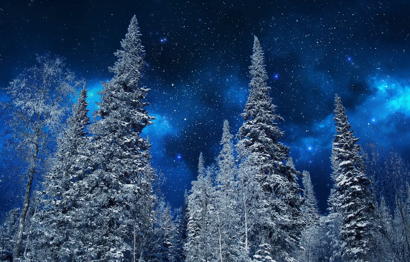 Photo wallpaper winter, the sky, snow, trees, night, nature, stars, ate