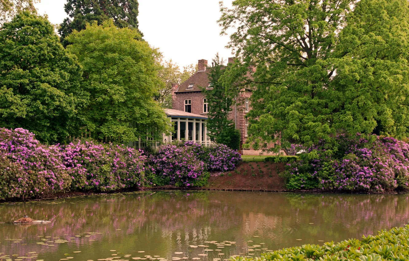 Photo wallpaper trees, flowers, house, pond, Park
