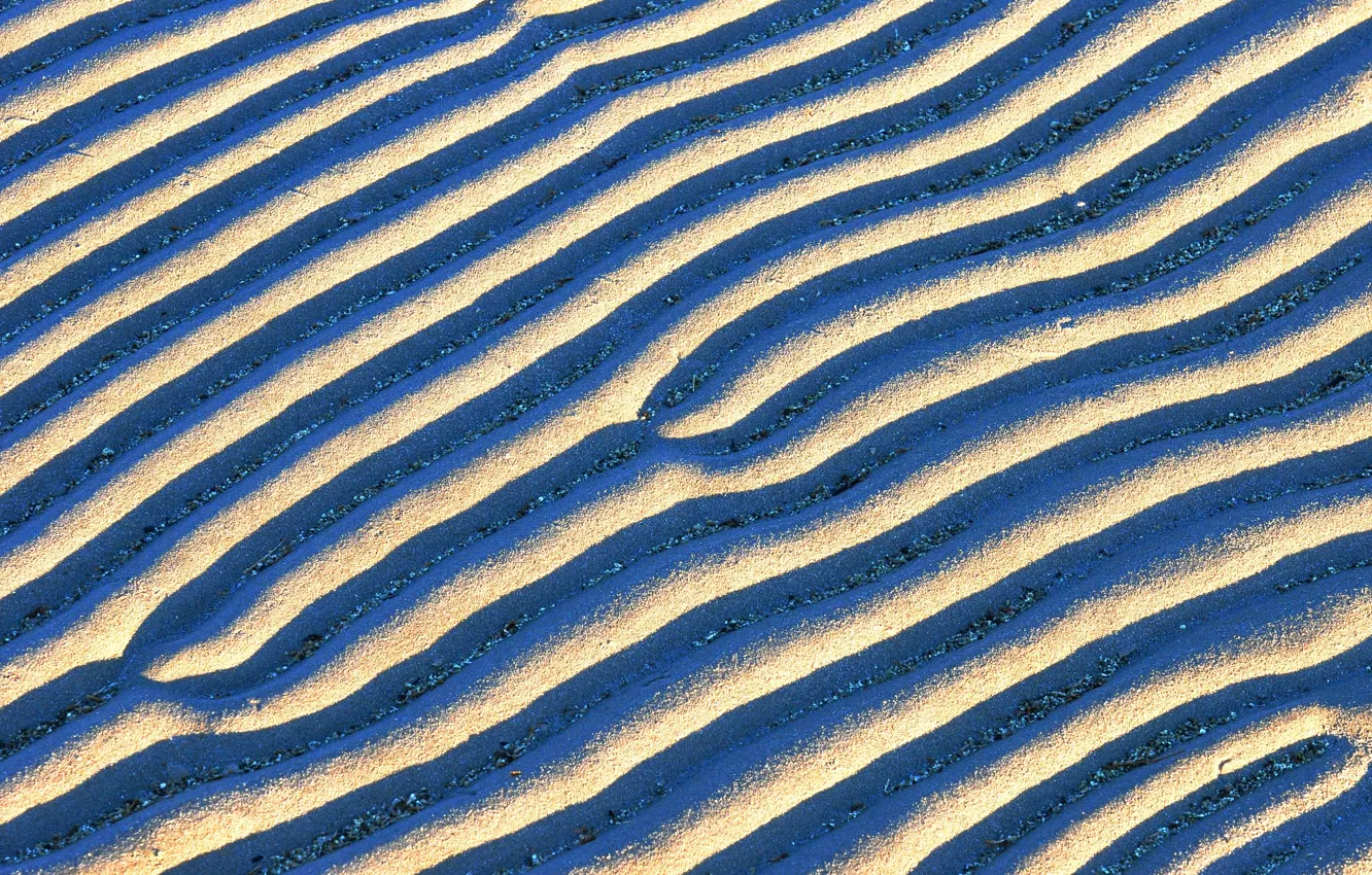 Photo wallpaper sand, wave, Sunny