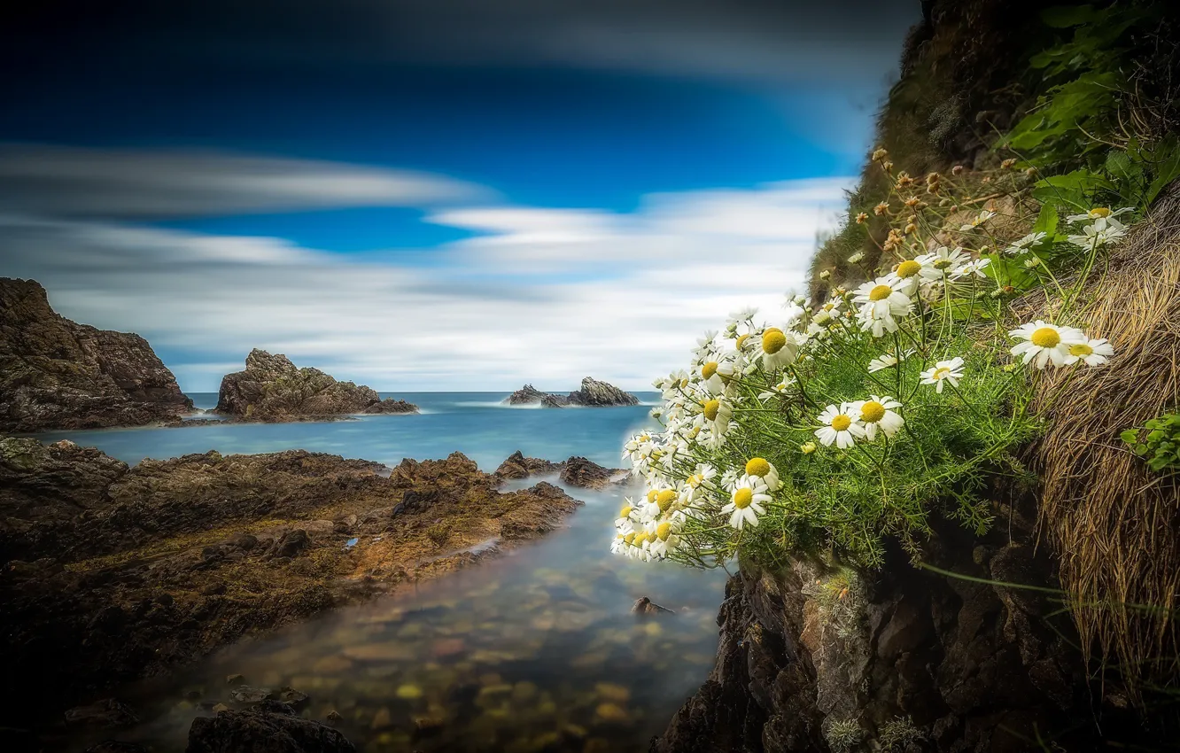 Photo wallpaper rocks, coast, chamomile, Scotland, Scotland, Portknockie