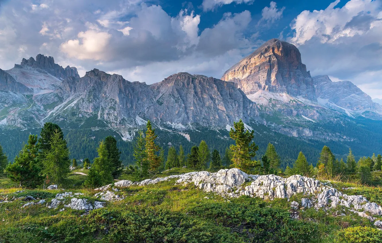 Photo wallpaper forest, the sky, clouds, trees, mountains, nature, rocks, Alps