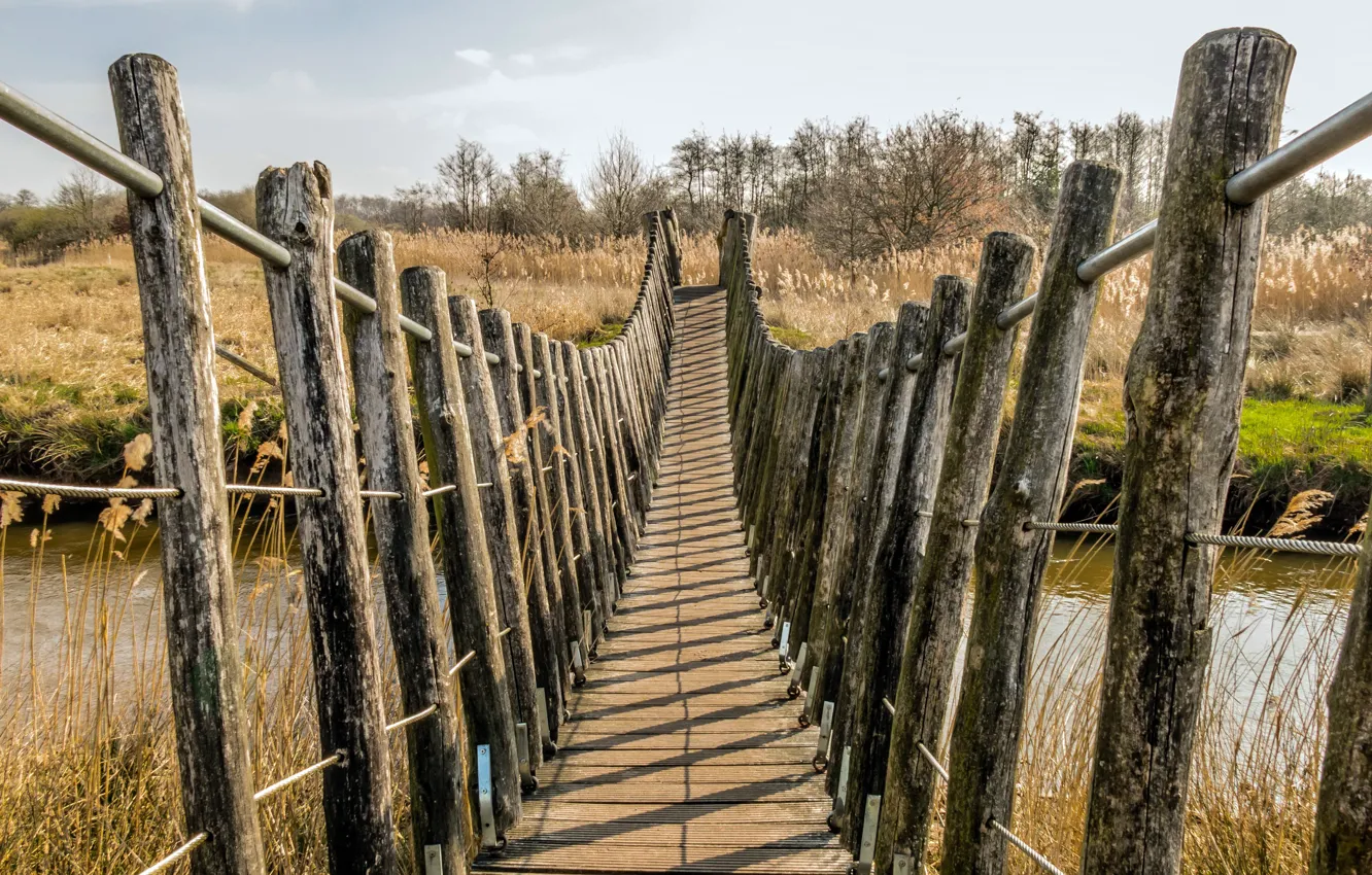 Photo wallpaper bridge, nature, river