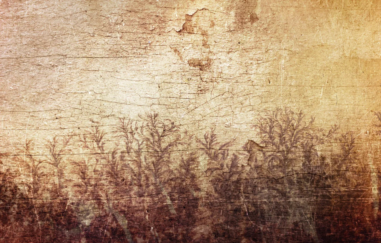 Photo wallpaper leaves, cracked, wall, tree, pattern, figure, plants, Sirius-sdz