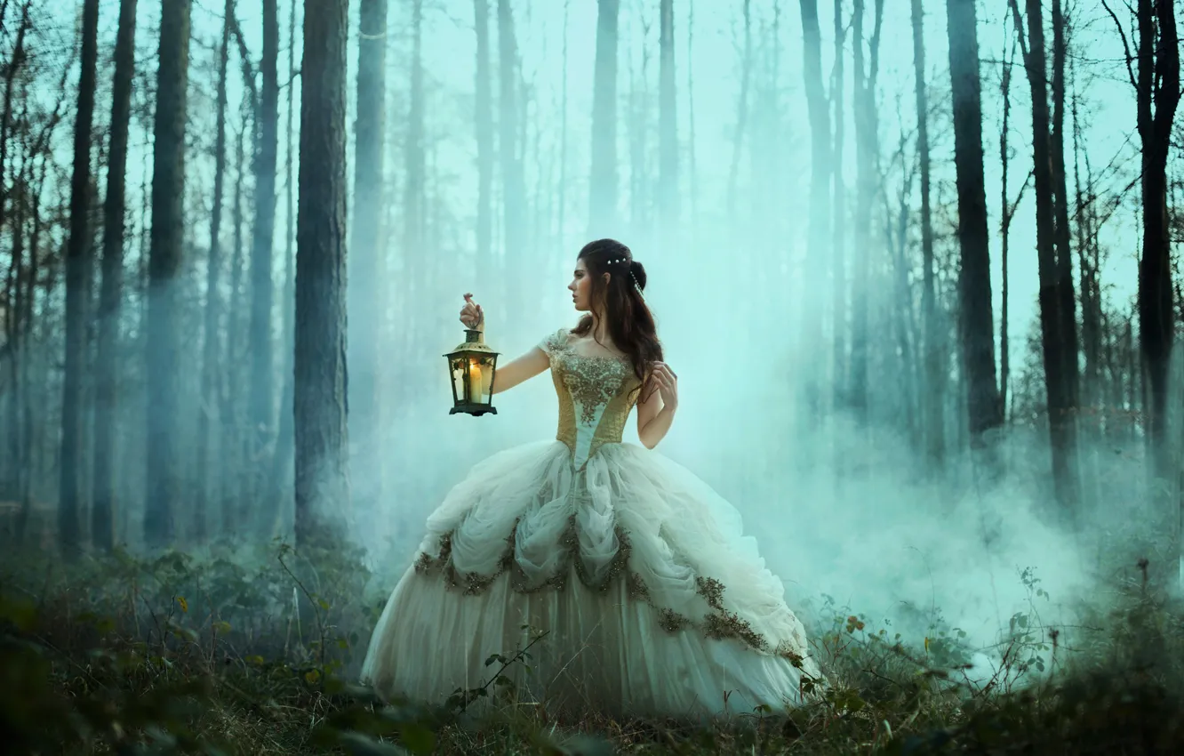 Photo wallpaper forest, girl, the situation, dress, lantern, Bella Kotak