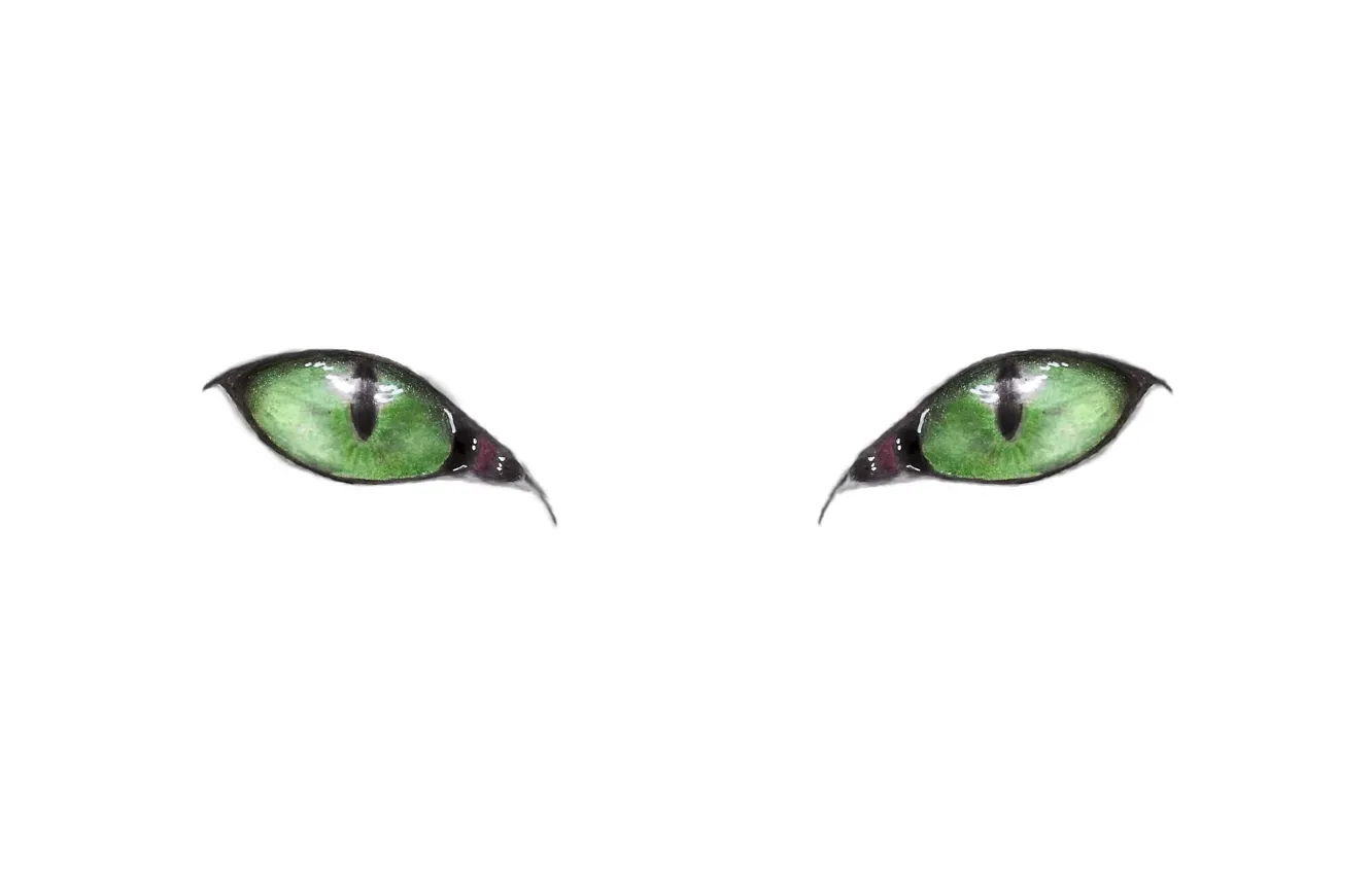 Photo wallpaper green eyes, minimalism, eyes, Cat, artwork, drawing, white background, simple background